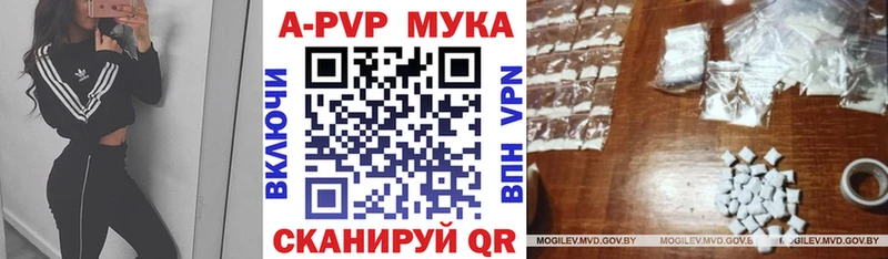 Alfa_PVP СК КРИС Татарск