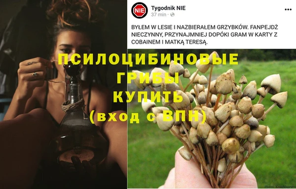 не бодяженный Алзамай