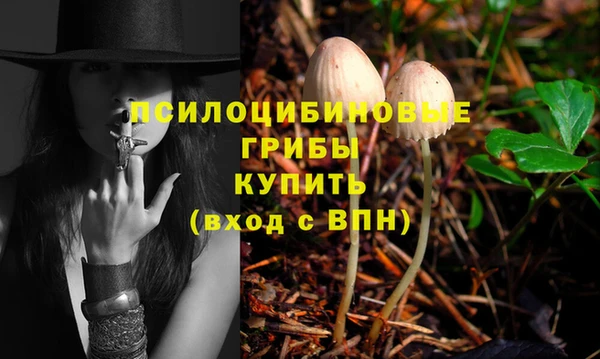 героин Алексин