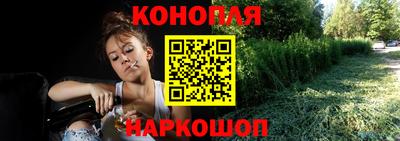 альфа пвп Севастополь