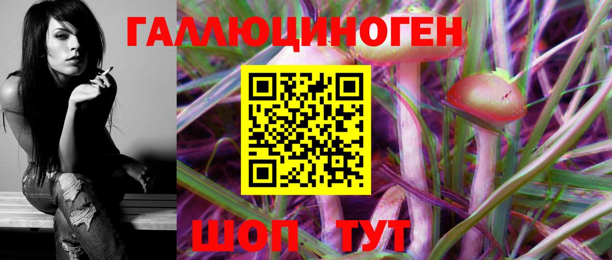 Галлюциногенные грибы Cubensis Татарск