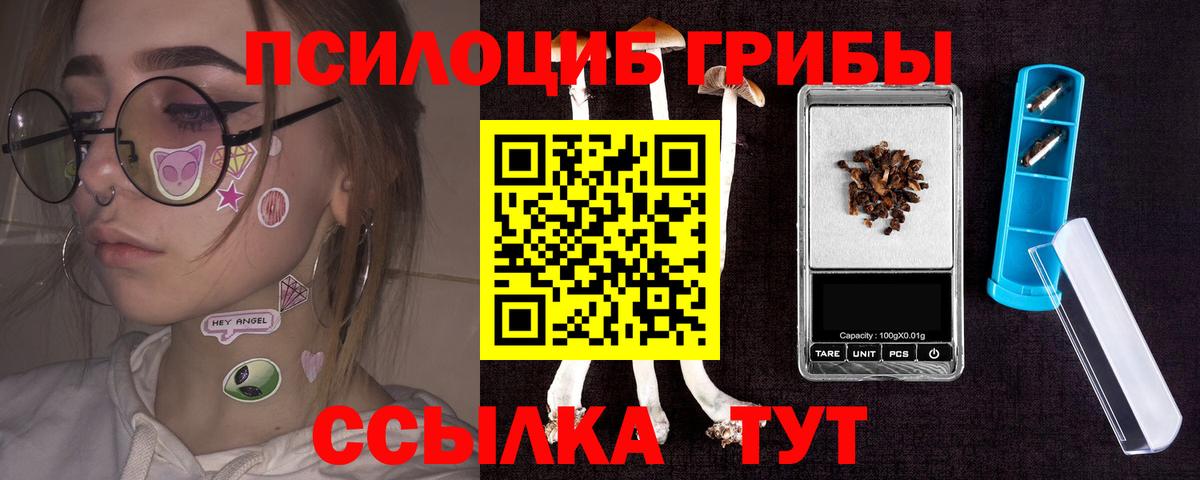 Татарск  Галлюциногенные грибы Psilocybe  Псилоцибиновые грибы Psilocybe  Вход с VPN 